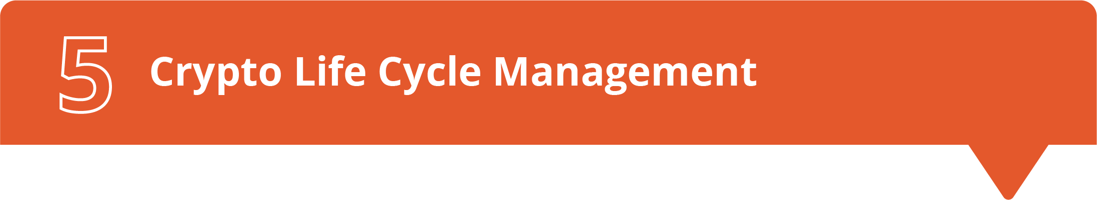 Crypto Life Cycle Management@2x