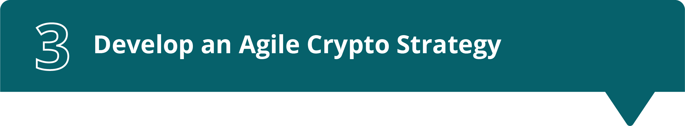 Develop an Agile Crypto Strategy@2x